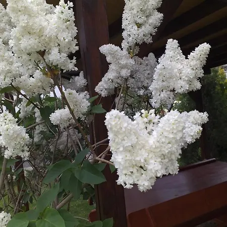 градина Prázdninový dům Acheloj