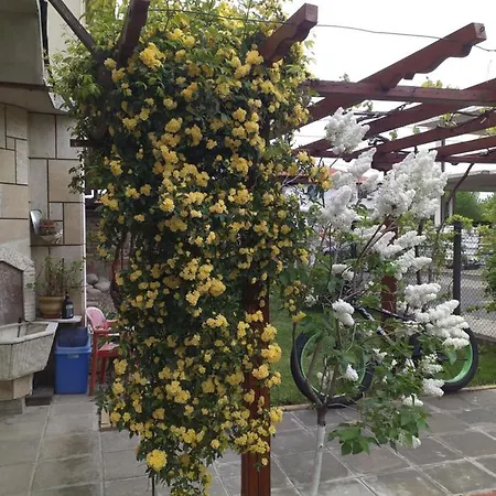 градина Σπίτι διακοπών Aheloy